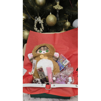 Подарунковий набір з Котиком