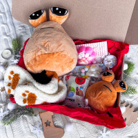 Подарунковий набір Поу (Poo)