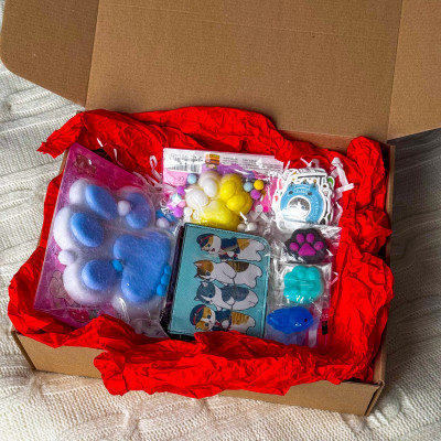 Набір Сквіш Таба Лапки, Наліпки, Гаманець