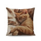 Декоративна наволочка Рудий Котик 45×45 см