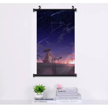 Постер Тоторо і зорі