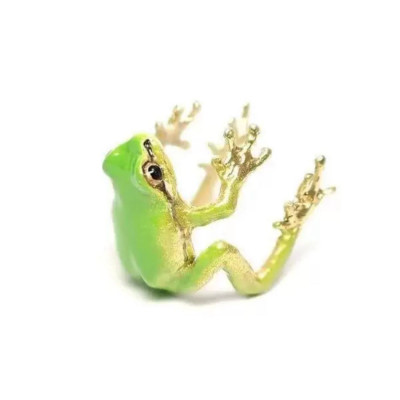 Каблучка Жабка