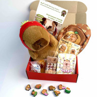 Подарунковий набір Капібара (сумка, іграшка, планшет, гаманець)