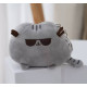 Брелок-іграшка м'яка Кіт Пушин Pusheen в окулярах